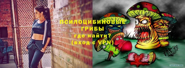 эйфоретик Иннополис