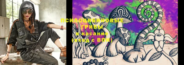 хмурый Каменка