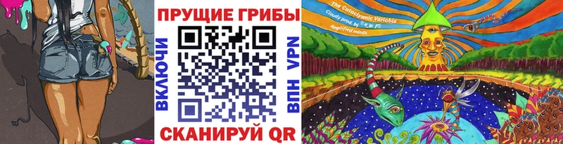 Псилоцибиновые грибы Cubensis  Купить закладки  Западная Двина 