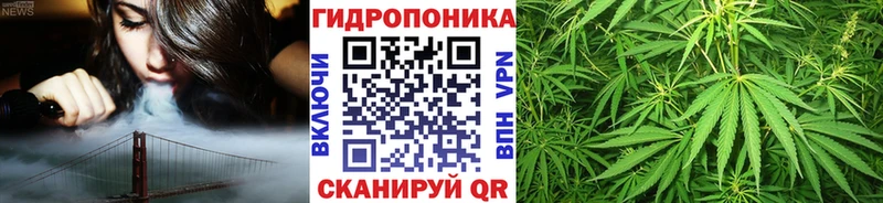 Купить где  Западная Двина  Шишки марихуана индика 